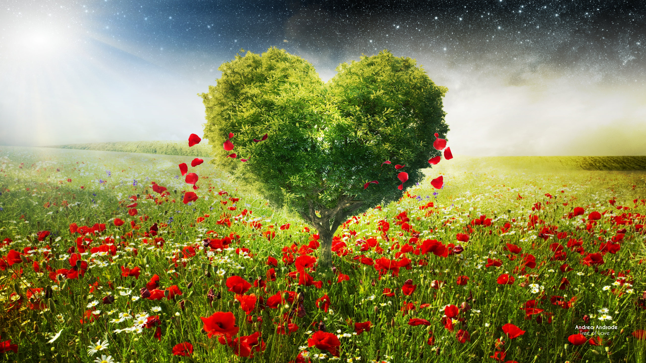 Free Heart high quality wallpaper ID:209357 for hd 2560x1440 PC
