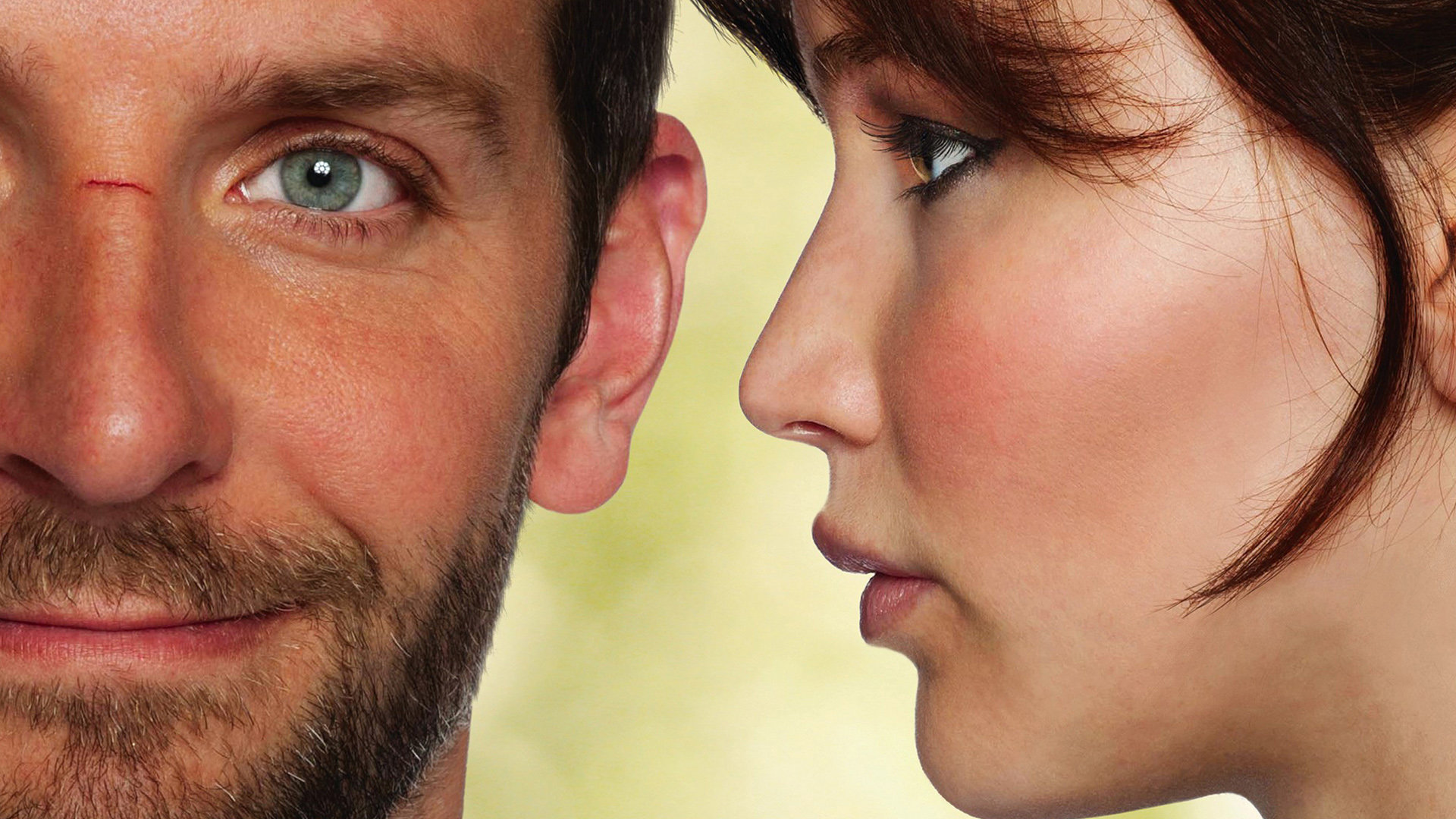 Best Silver Linings Playbook background ID:253661 for High Resolution 1080p computer