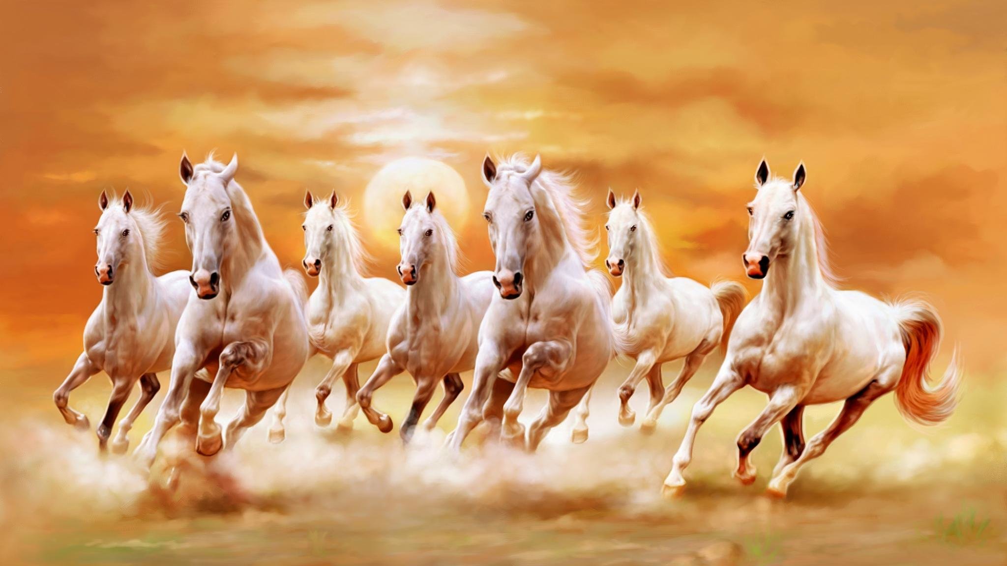 Download hd 2048x1152 Horse PC background ID:23196 for free