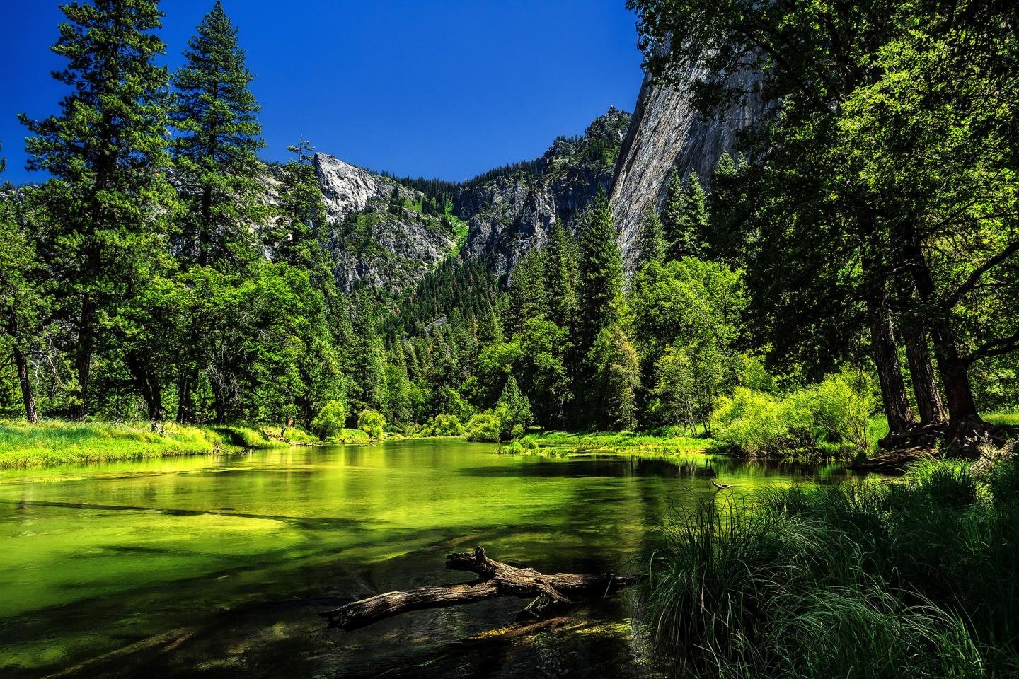 Free download Yosemite National Park background ID:67148 hd 1440x960 for desktop