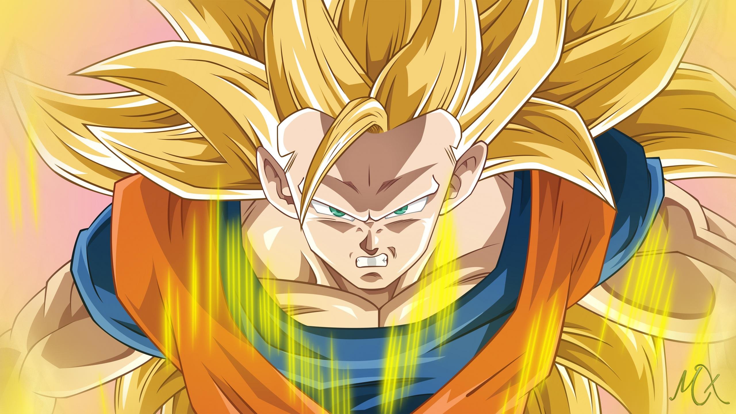 Awesome Goku free background ID:462112 for hd 2560x1440 PC