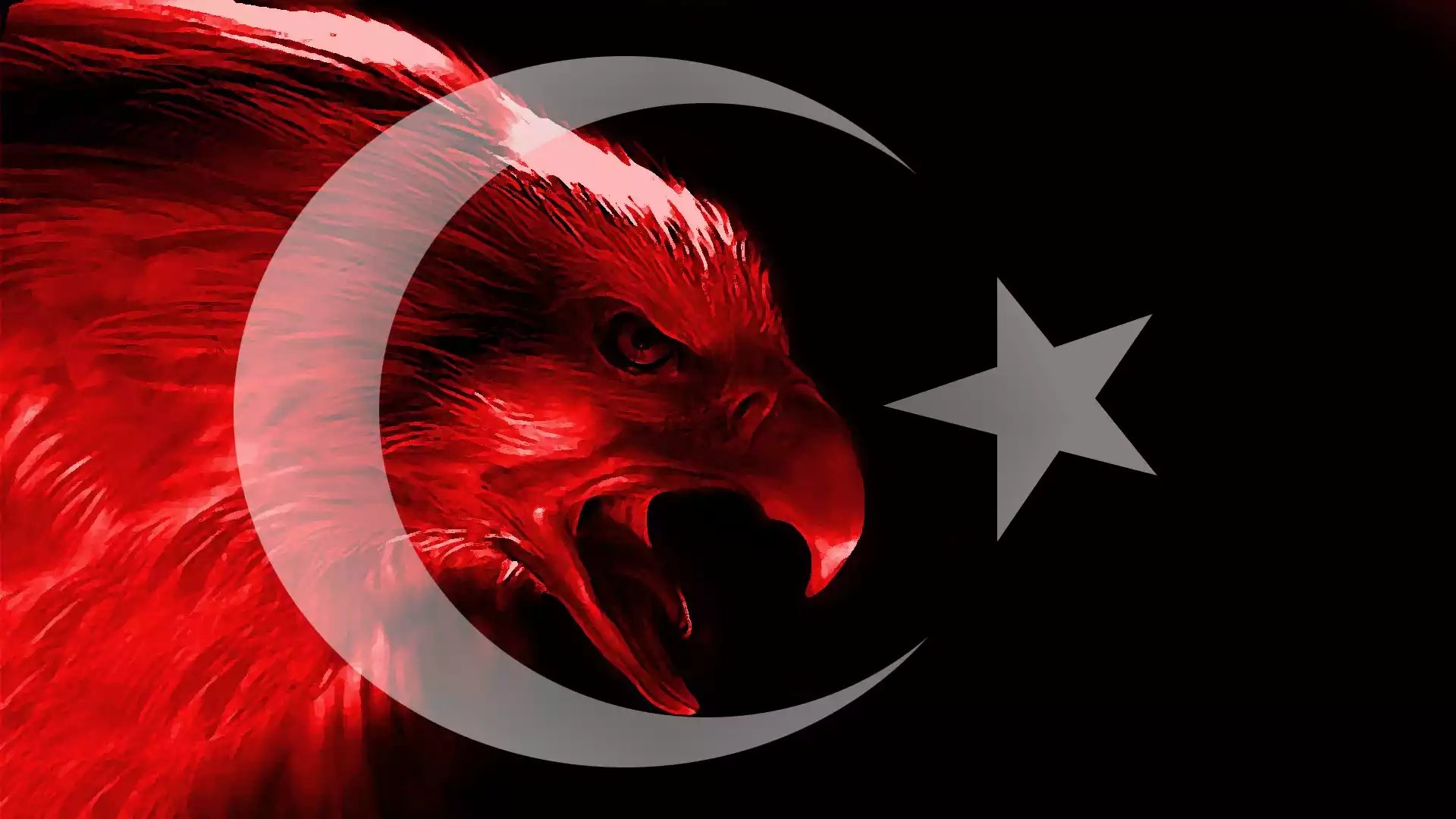 Free Turkey flag high quality wallpaper ID:493861 for 1080p computer