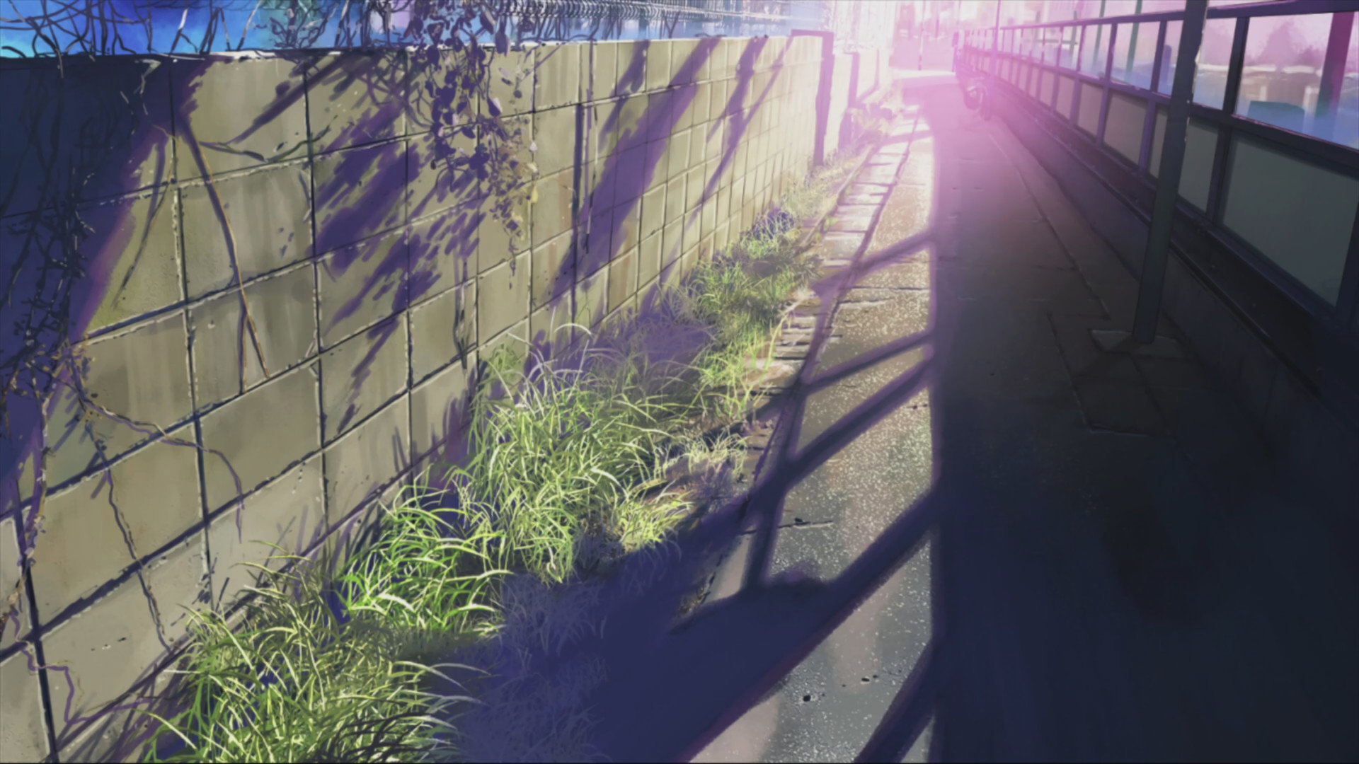 Free download 5 (cm) Centimeters Per Second background ID:90078 full hd for computer