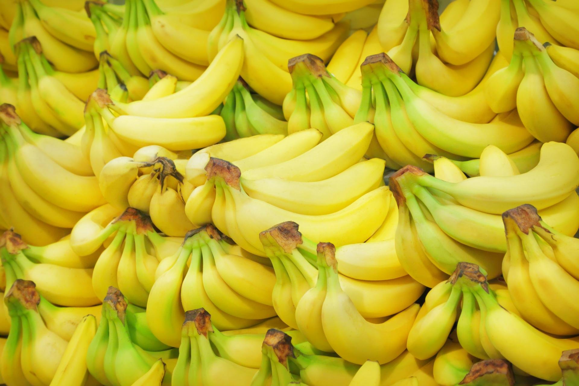 Download hd 1920x1280 Banana PC background ID:463169 for free
