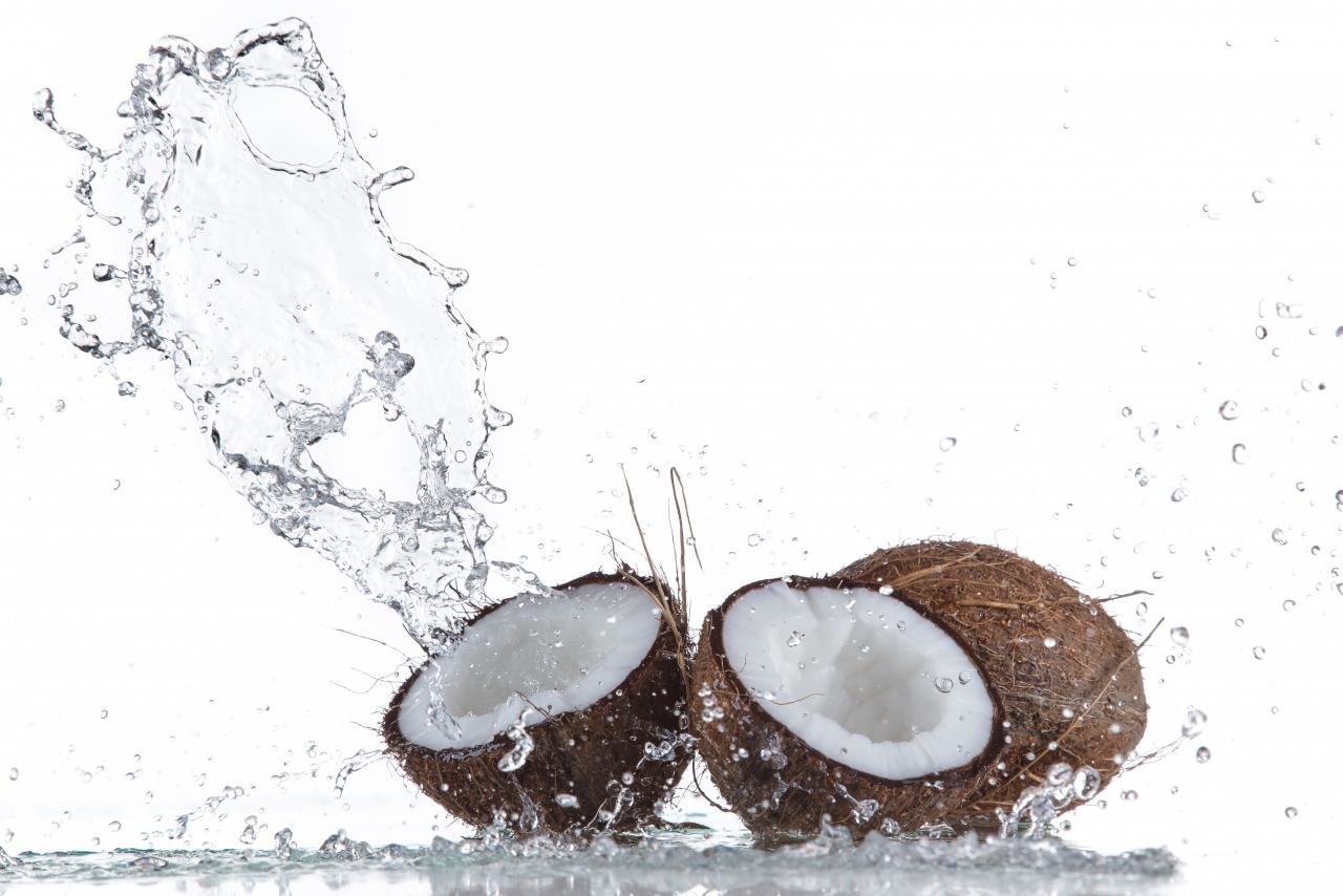 High resolution Coconut hd 1280x854 wallpaper ID:402971 for computer