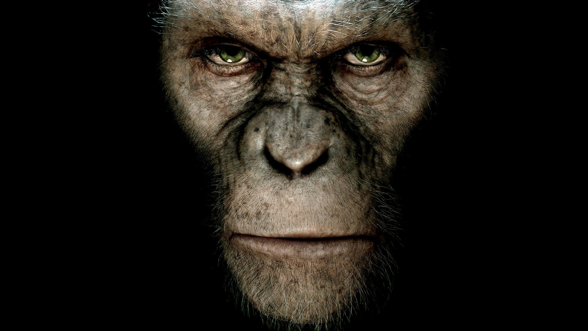 Free download Rise Of The Planet Of The Apes wallpaper ID:271561 1080p for computer