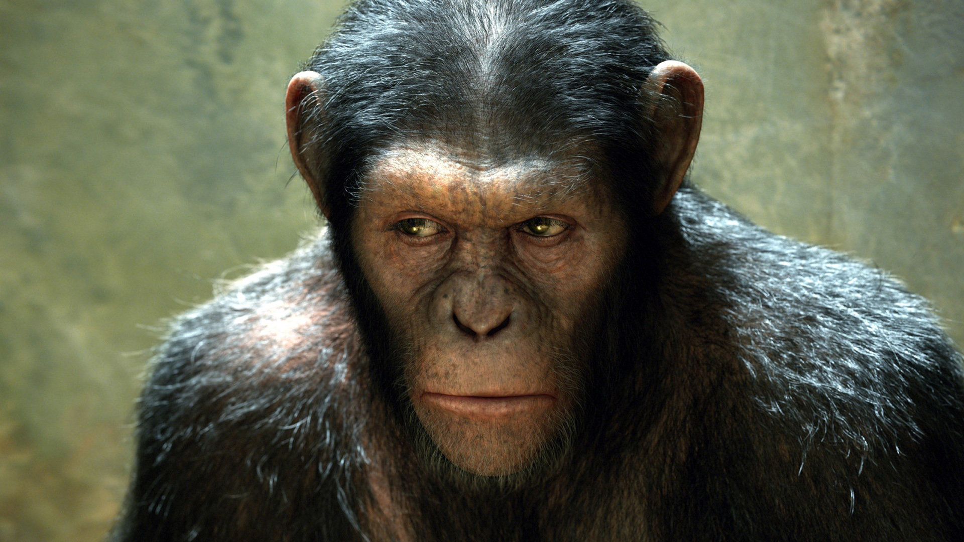 Best Rise Of The Planet Of The Apes wallpaper ID:271559 for High Resolution full hd 1920x1080 computer