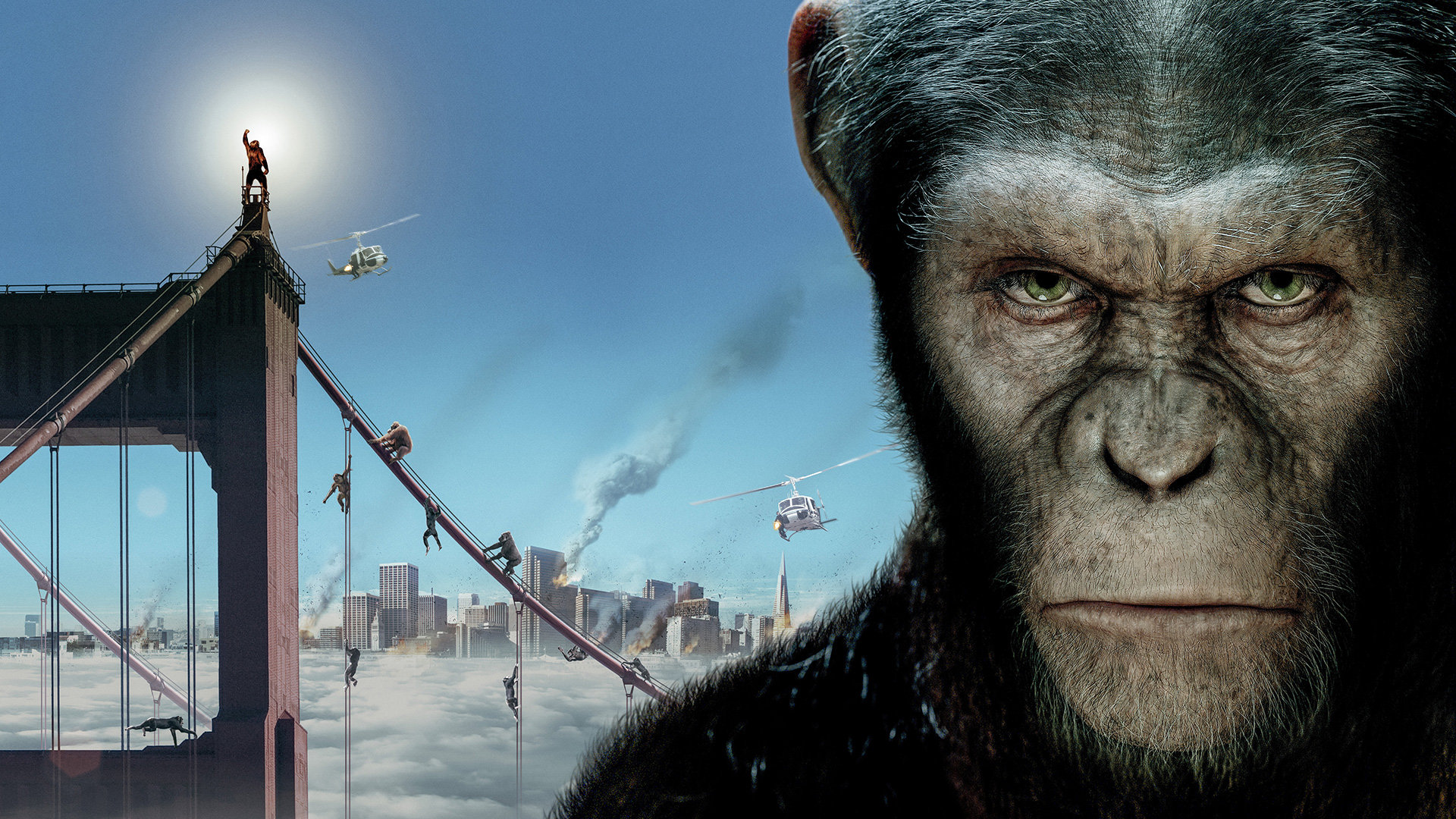High resolution Rise Of The Planet Of The Apes full hd wallpaper ID:271557 for PC