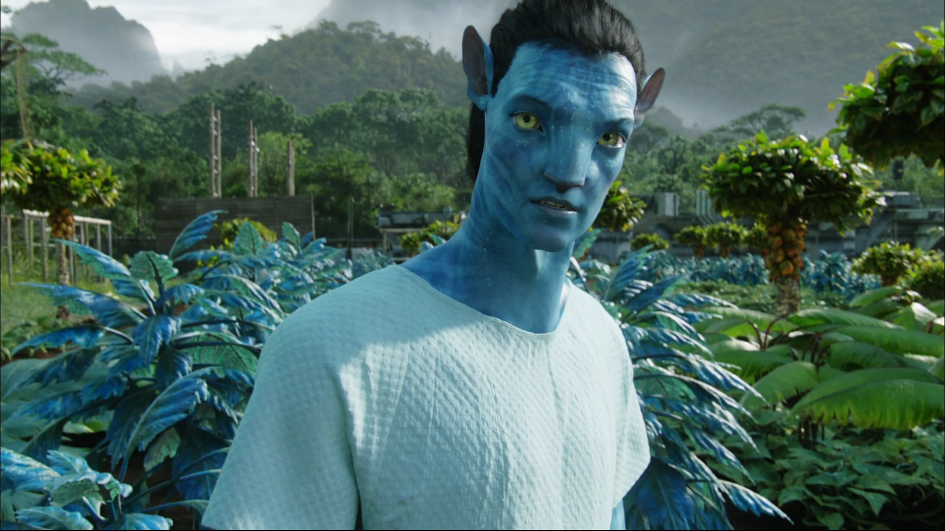 Free download Avatar wallpaper ID:73249 full hd 1080p for computer