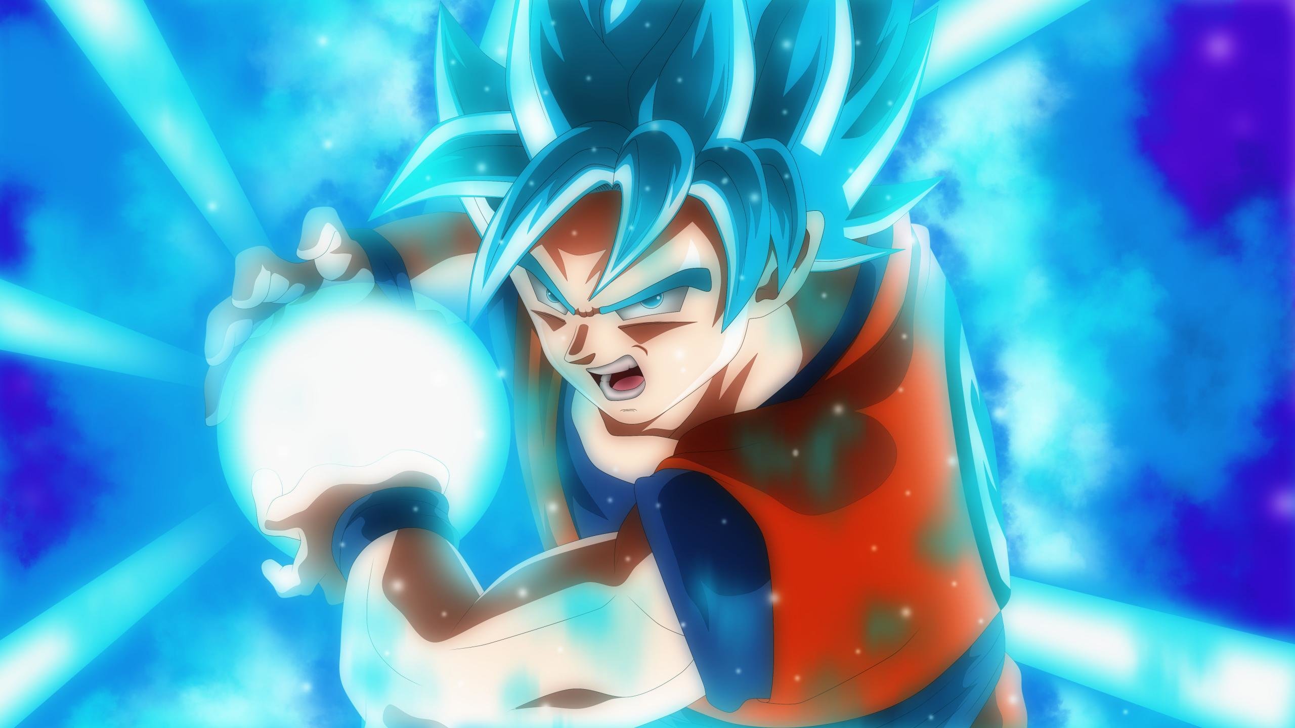 Download hd 2560x1440 Dragon Ball Super PC background ID:242726 for free