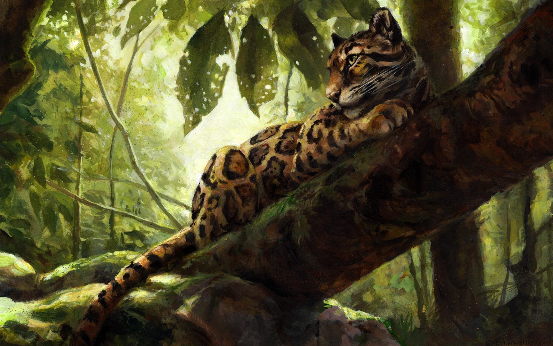 Free download Clouded Leopard background ID:260361 hd 1920x1200 for computer