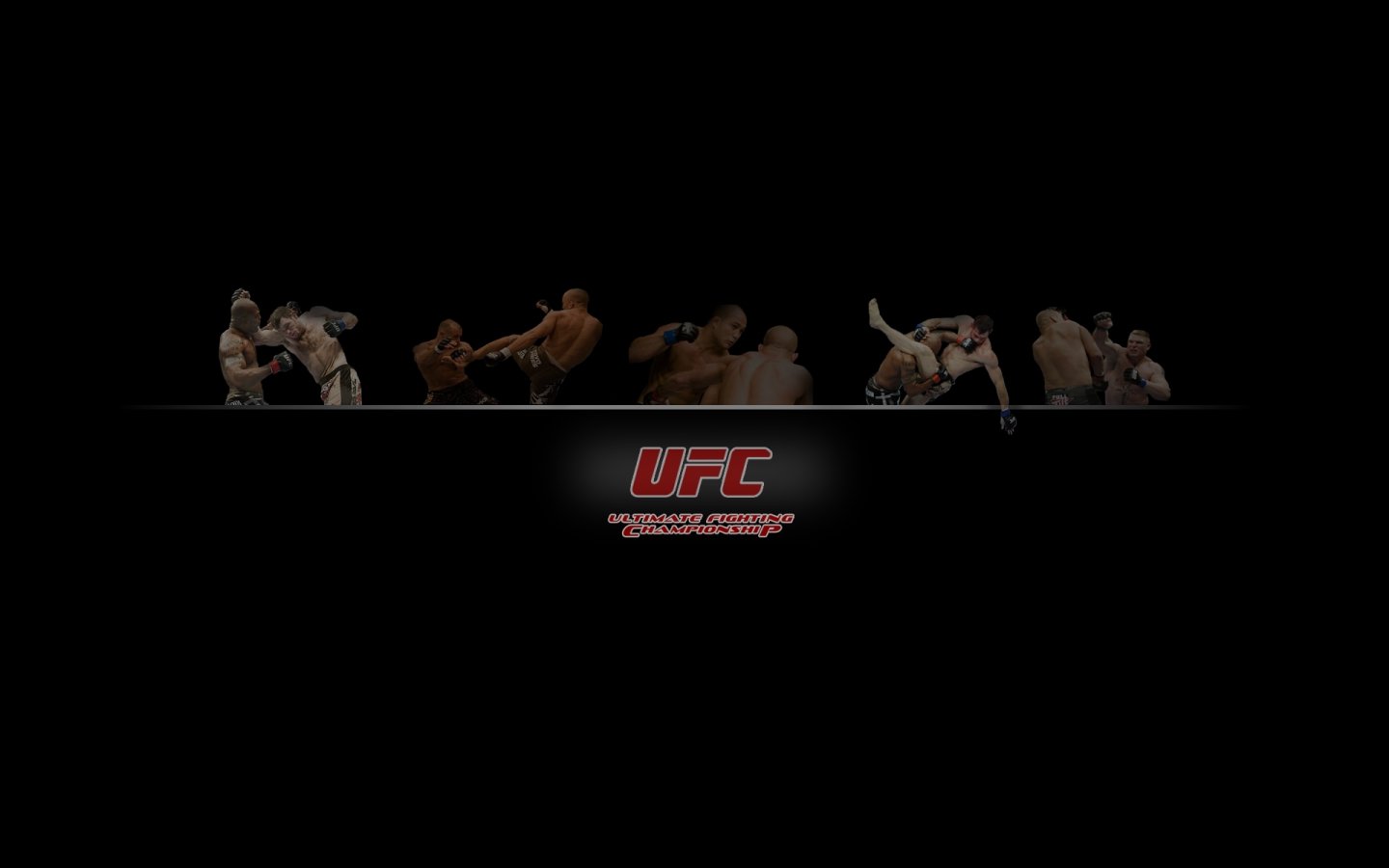 Free MMA (Mixed Martial Arts) high quality background ID:389460 for hd 1440x900 PC