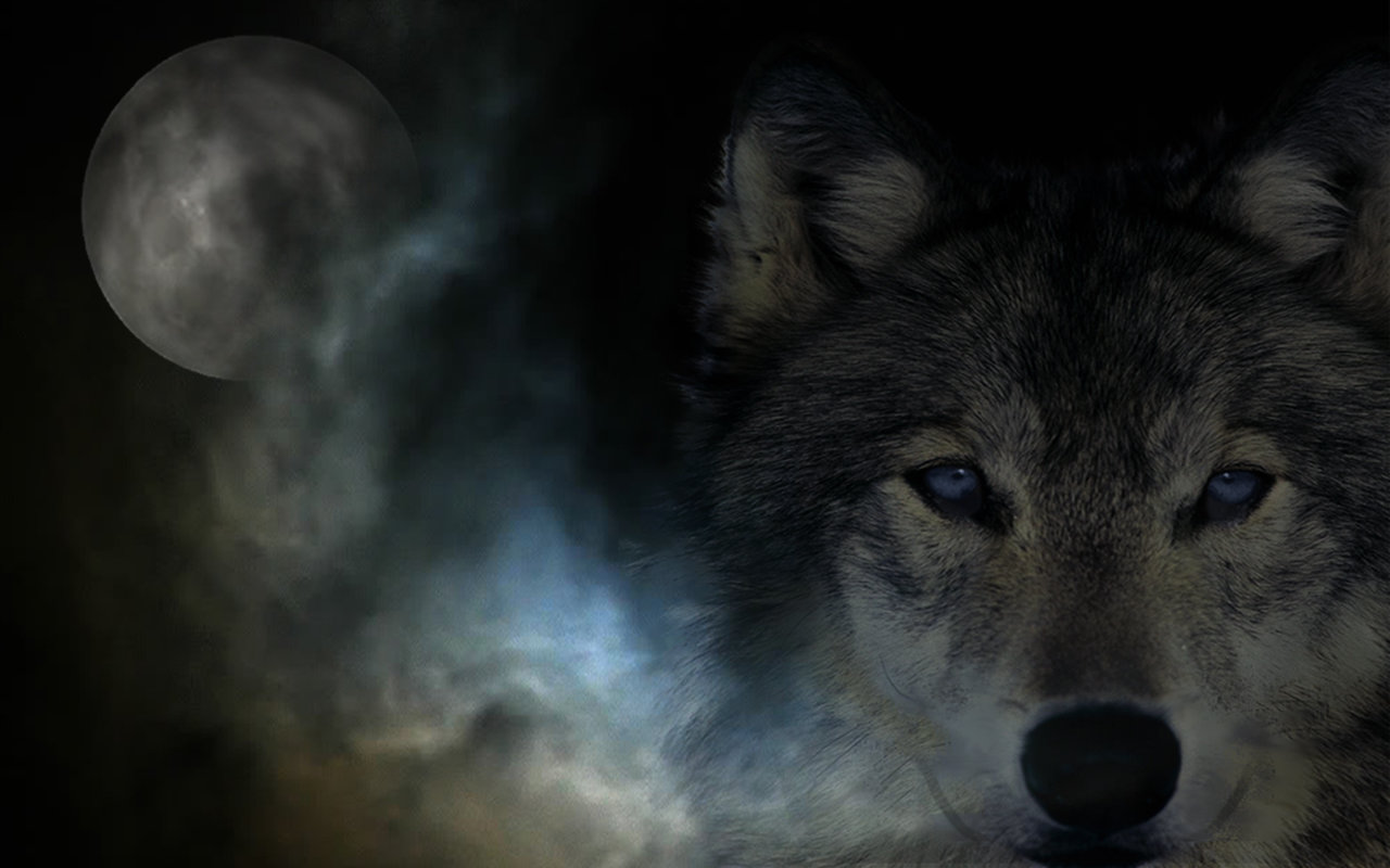 Free Wolf Fantasy high quality background ID:346511 for hd 1280x800 computer