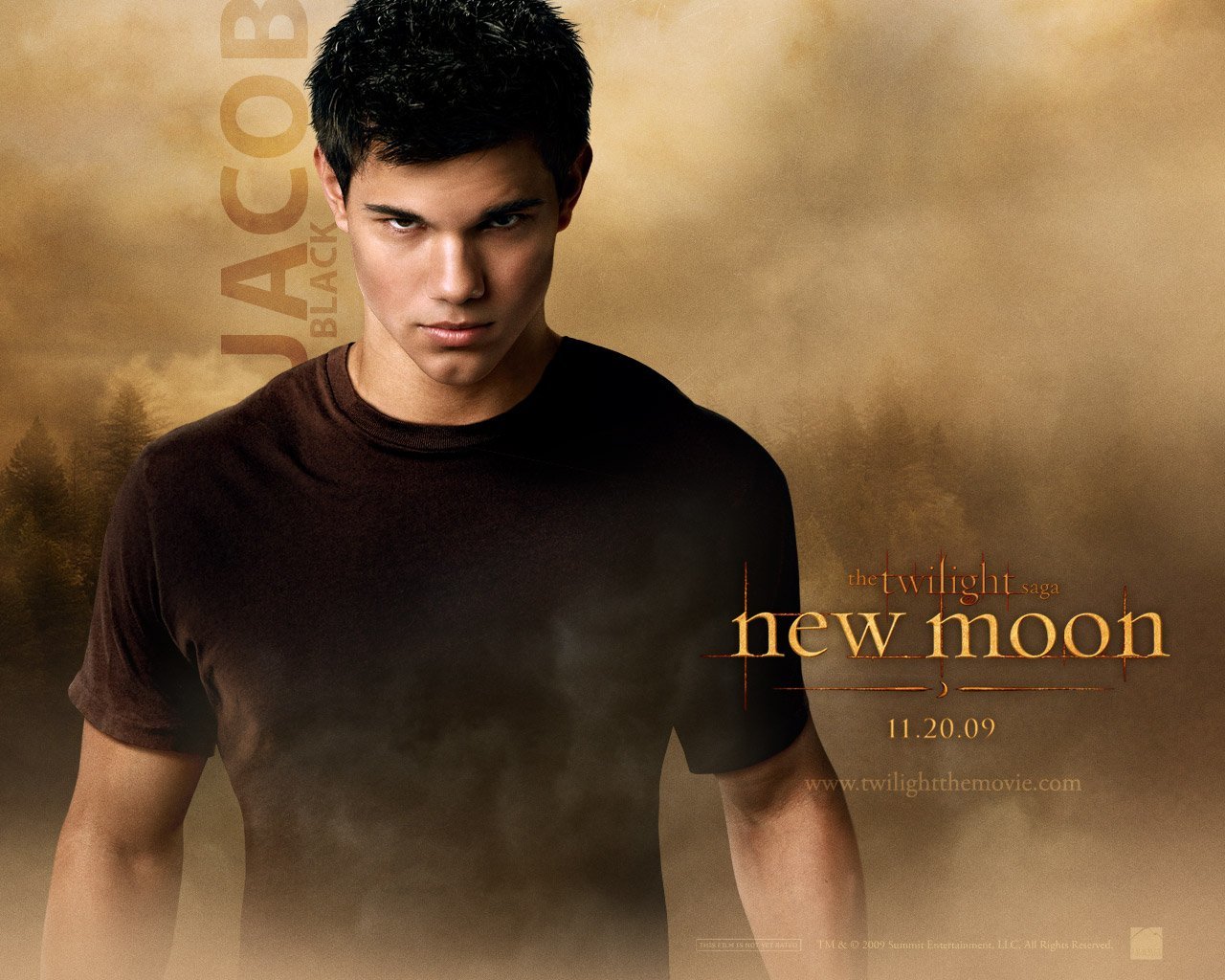 Free download Taylor Lautner background ID:323199 hd 1280x1024 for computer