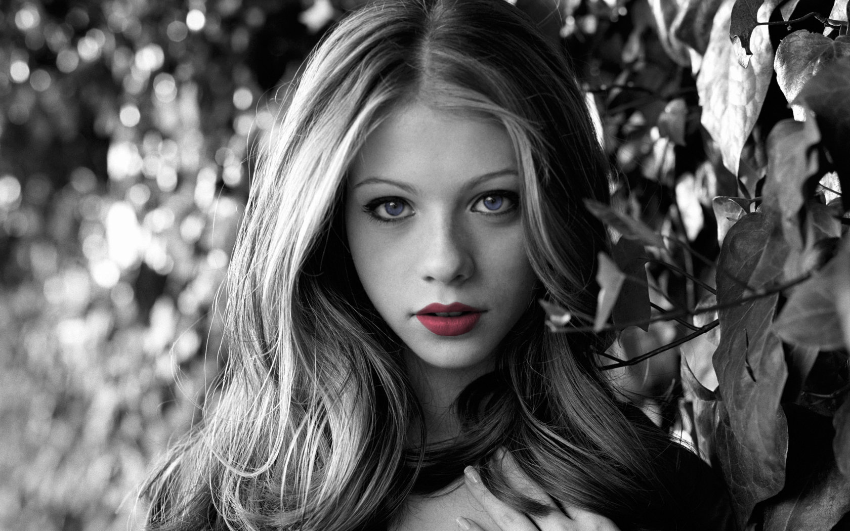 Free download Michelle Trachtenberg wallpaper ID:353022 hd 1680x1050 for PC