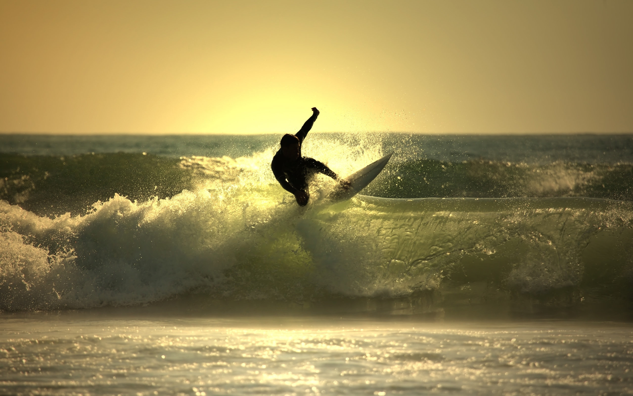Best Surfing background ID:68269 for High Resolution hd 2560x1600 PC