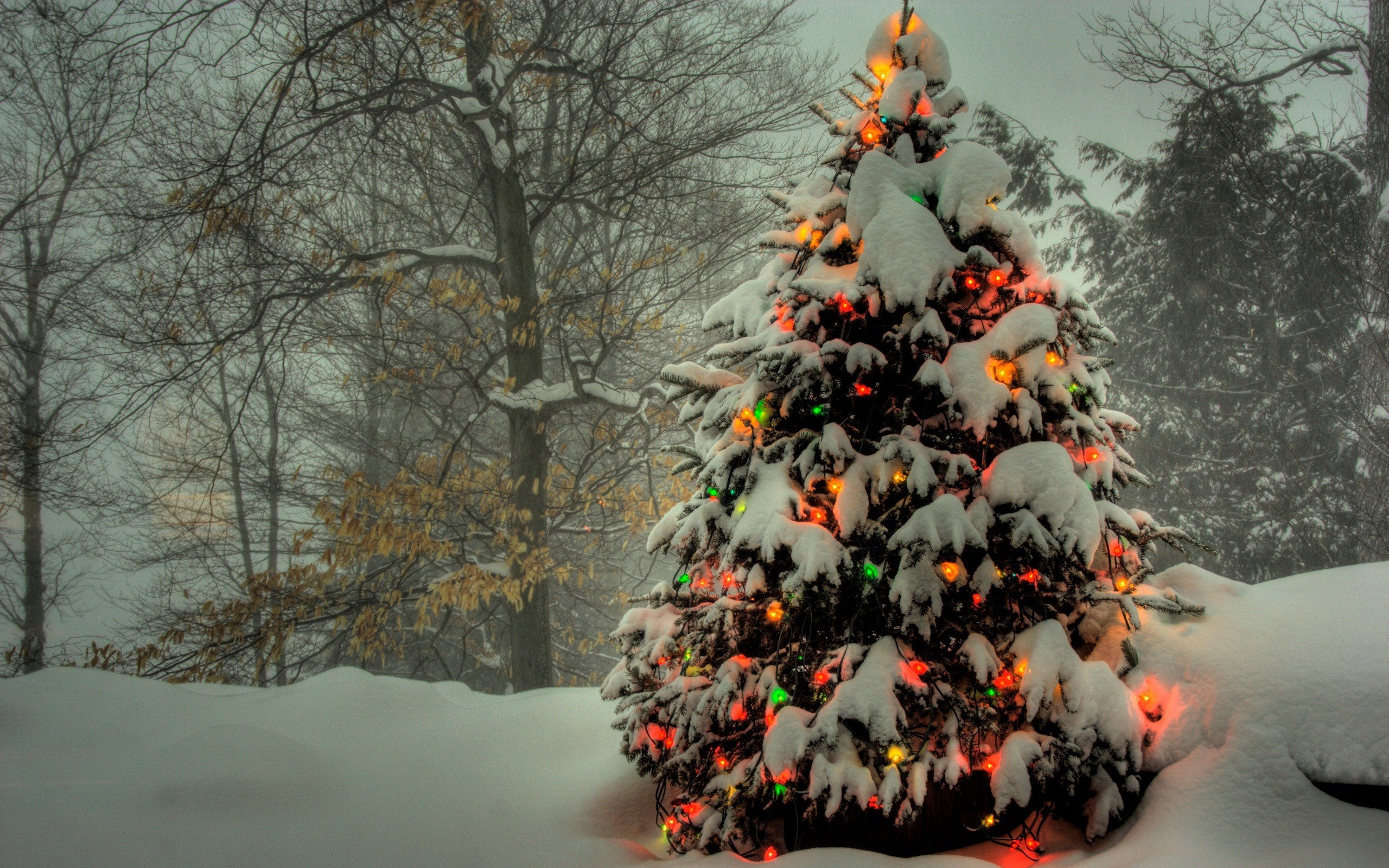 Download hd 2560x1600 Christmas computer background ID:436141 for free
