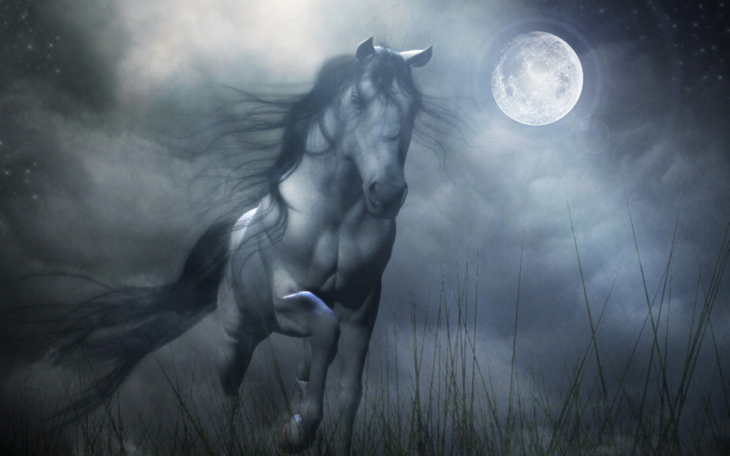 Best Horse Fantasy wallpaper ID:282528 for High Resolution hd 1440x900 PC