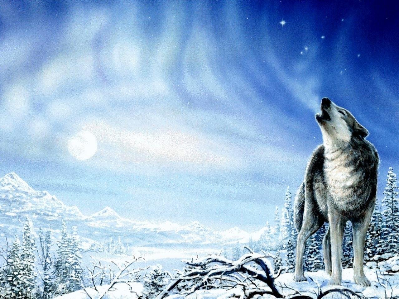 Best Wolf background ID:117667 for High Resolution hd 1280x960 PC