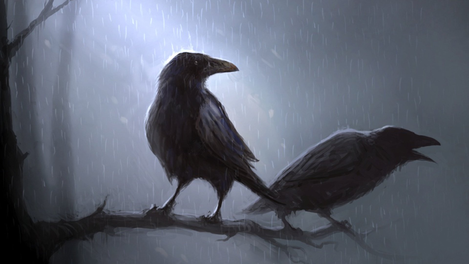 Download full hd 1080p Crow PC background ID:466123 for free