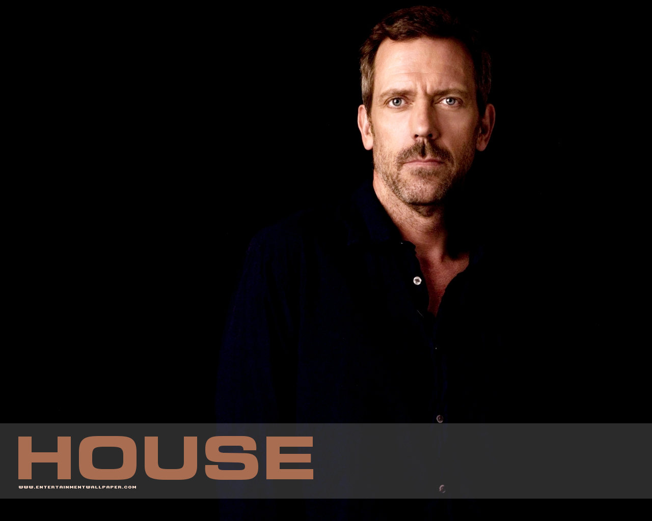 High resolution Dr. House hd 1280x1024 background ID:156693 for computer