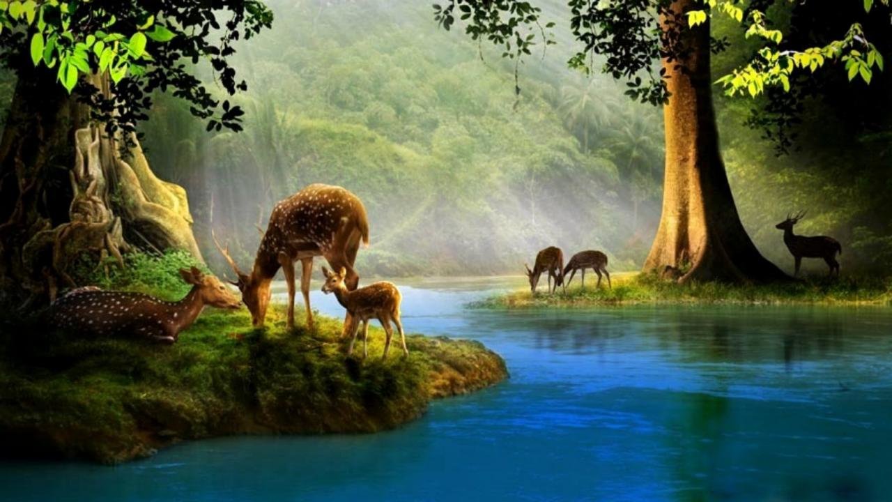 Download hd 1280x720 Deer computer background ID:238553 for free