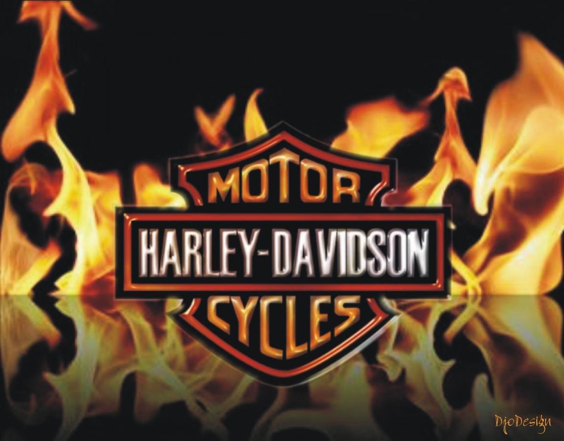 Best Harley Davidson background ID:478074 for High Resolution hd 1152x900 PC