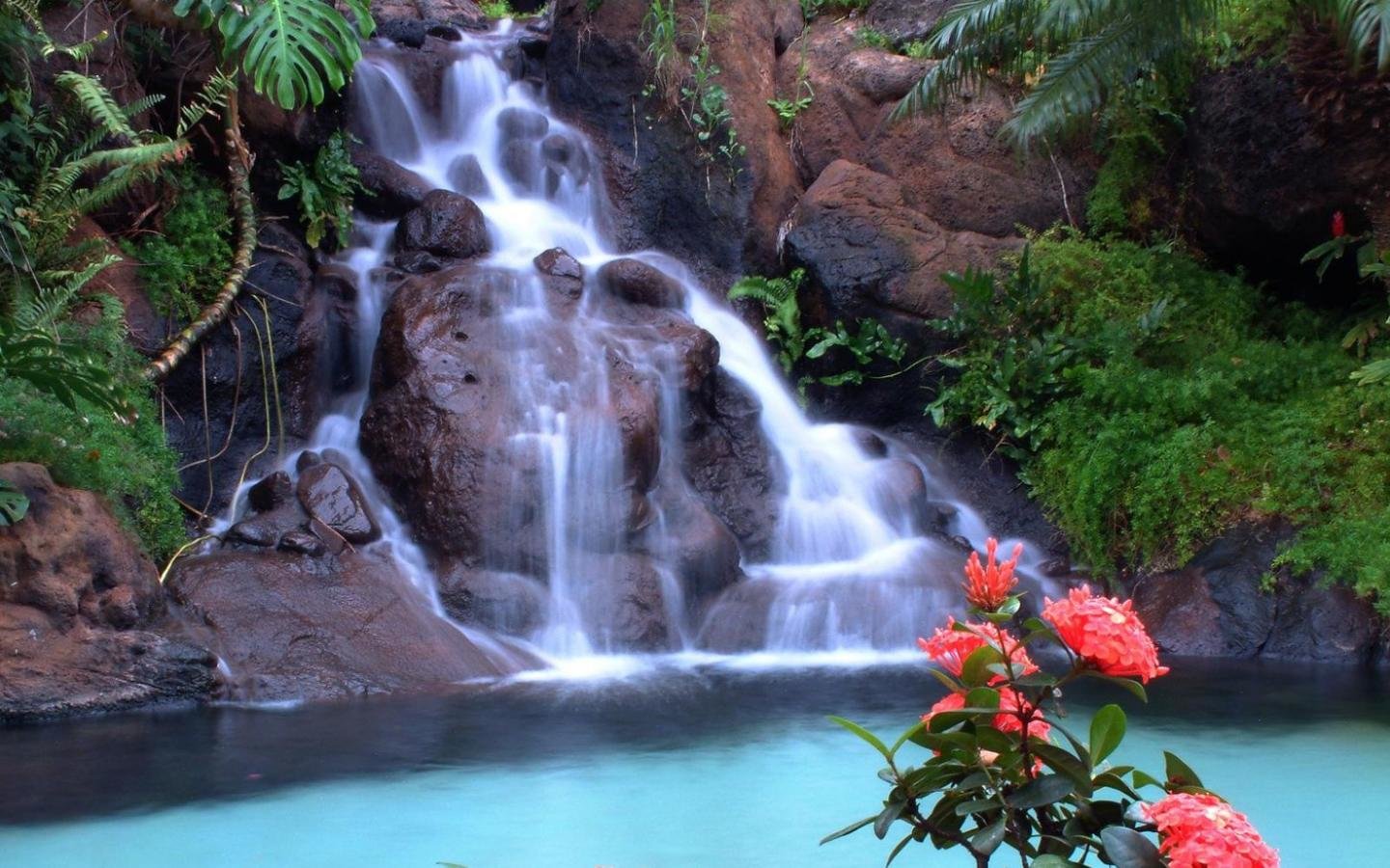 Download hd 1440x900 Waterfall PC background ID:107518 for free