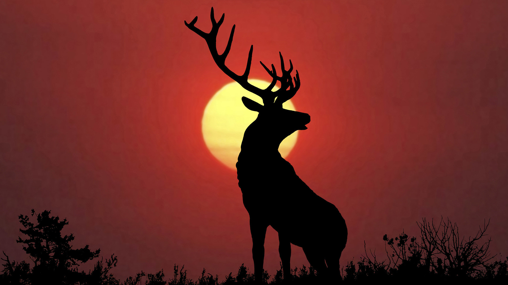 Awesome Deer free wallpaper ID:238505 for full hd 1080p desktop