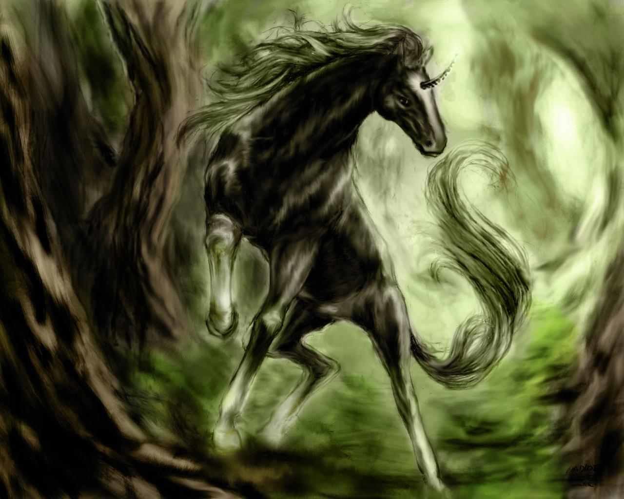 Best Unicorn background ID:408697 for High Resolution hd 1280x1024 computer