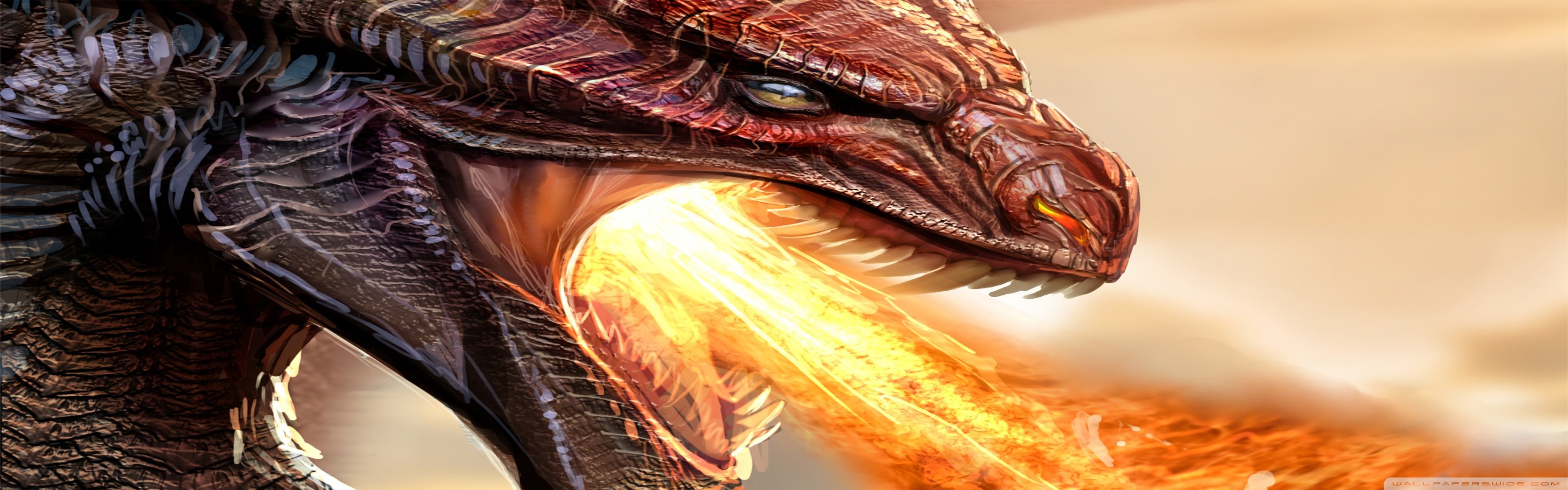 Free download Dragon wallpaper ID:147924 dual monitor 1680x1050 for PC