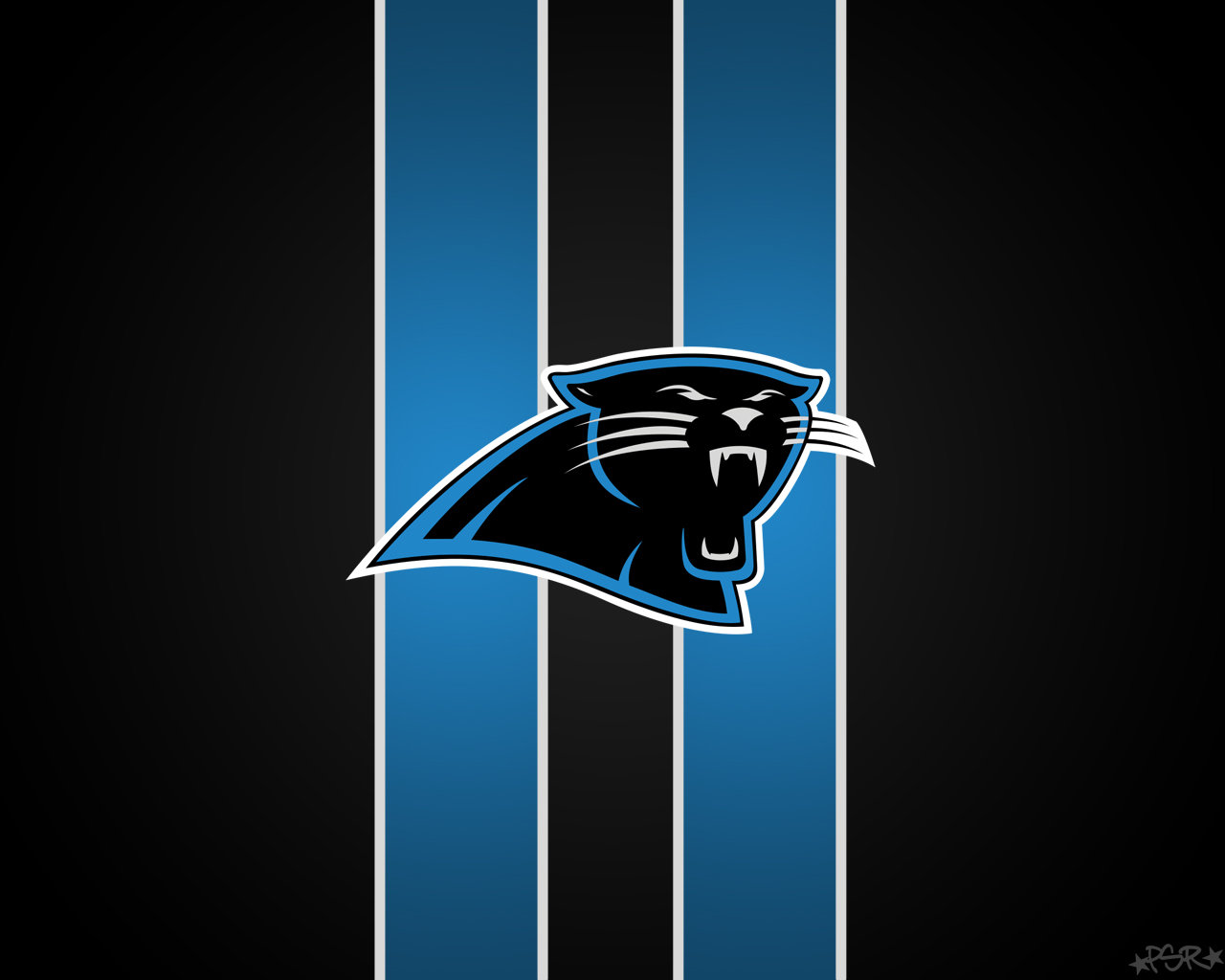 Download hd 1280x1024 Carolina Panthers computer background ID:101325 for free