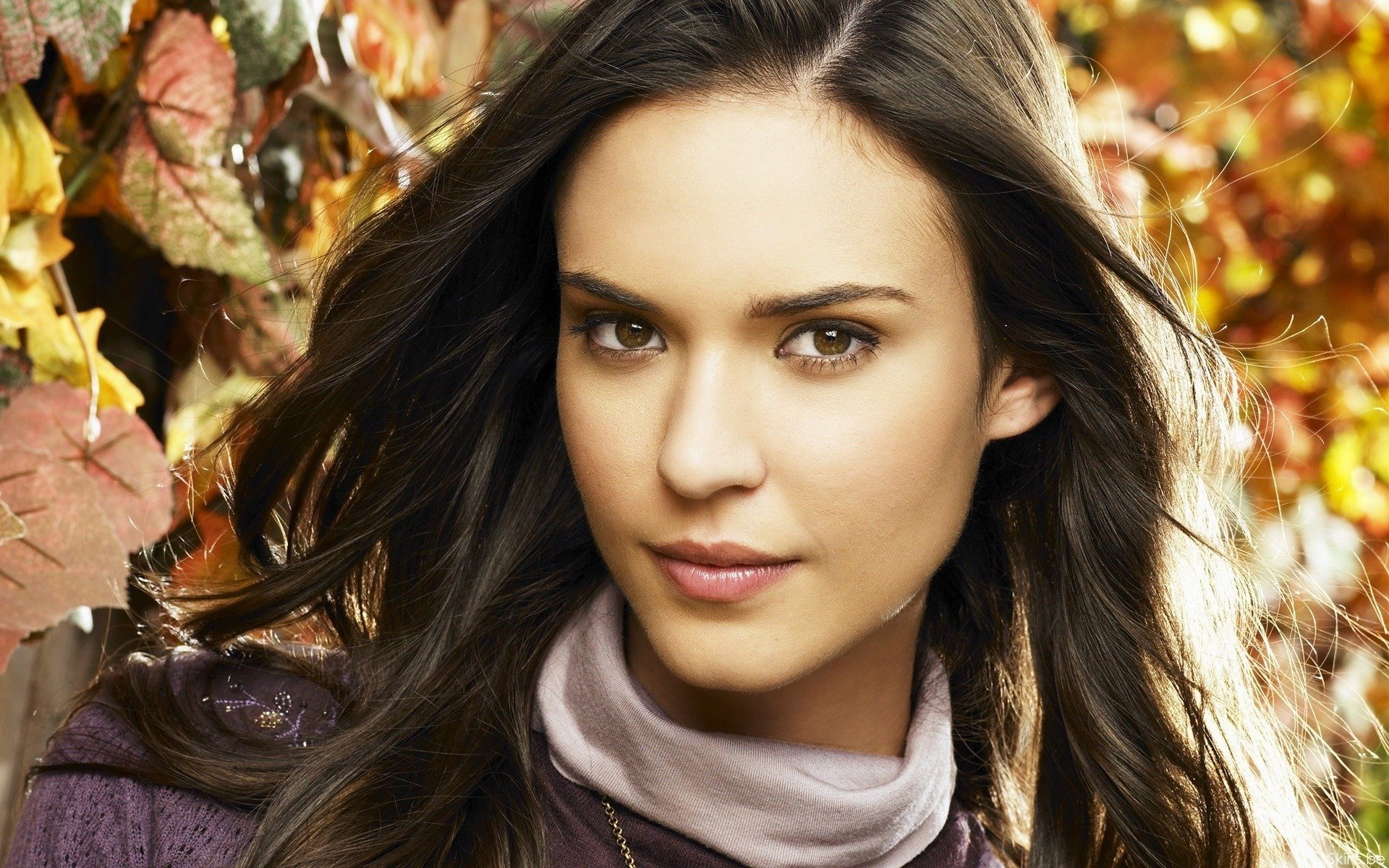 High resolution Odette Annable hd 1920x1200 background ID:56077 for PC