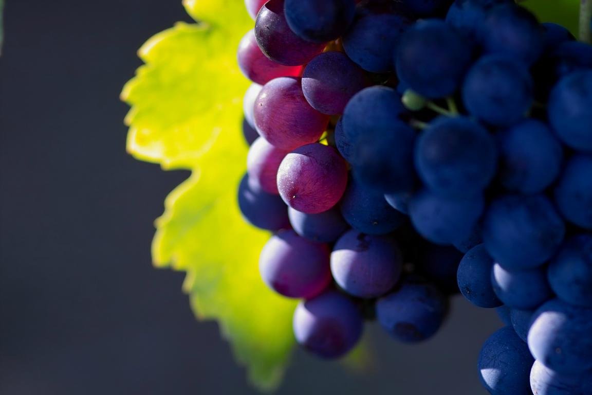 High resolution Grapes hd 1152x768 wallpaper ID:420760 for computer