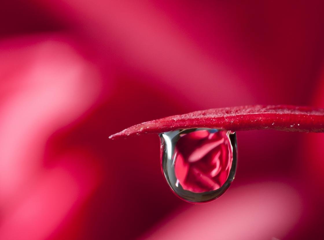 Awesome Water Drop free background ID:430154 for hd 1120x832 PC