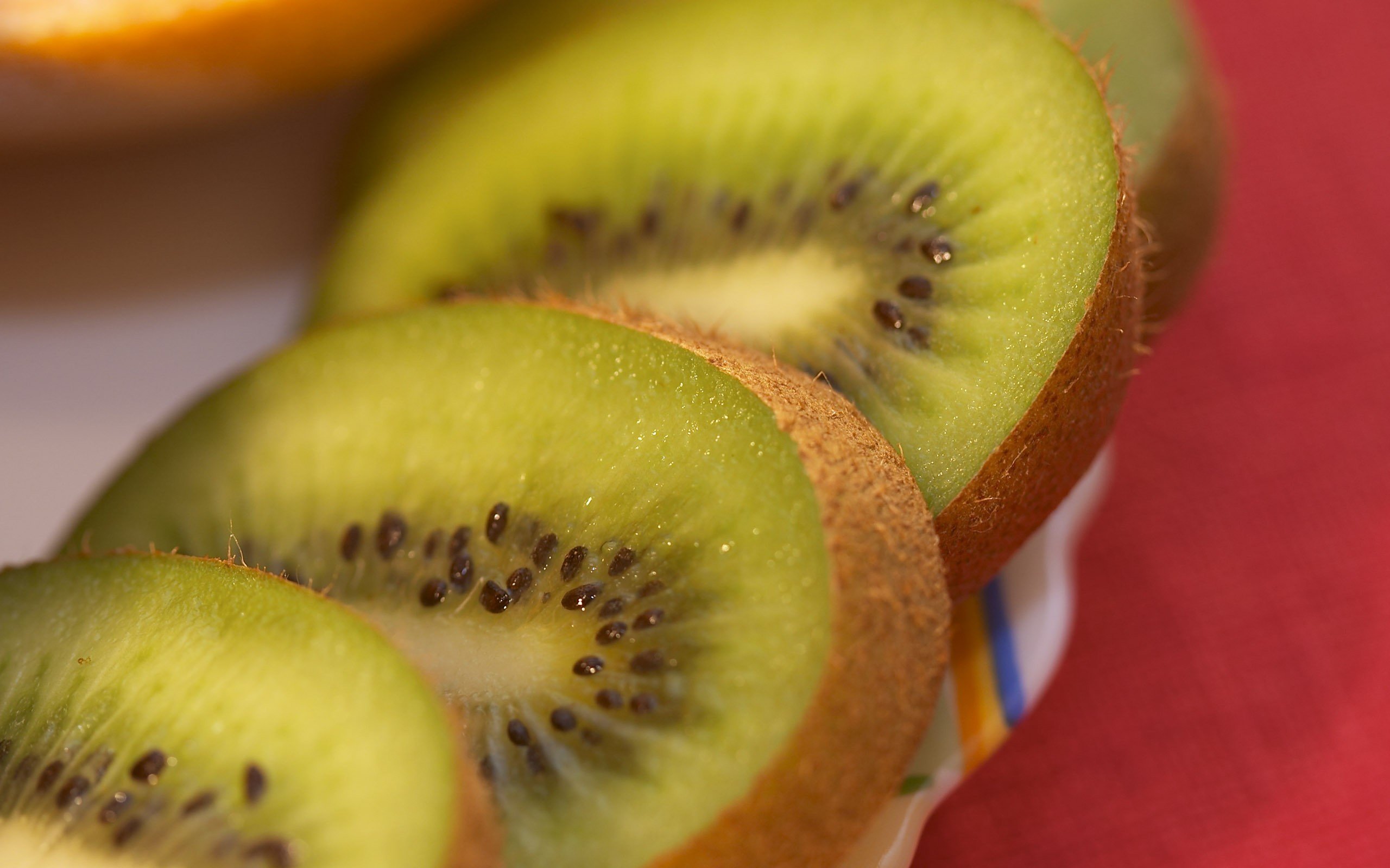 Best Kiwi background ID:328973 for High Resolution hd 2560x1600 computer