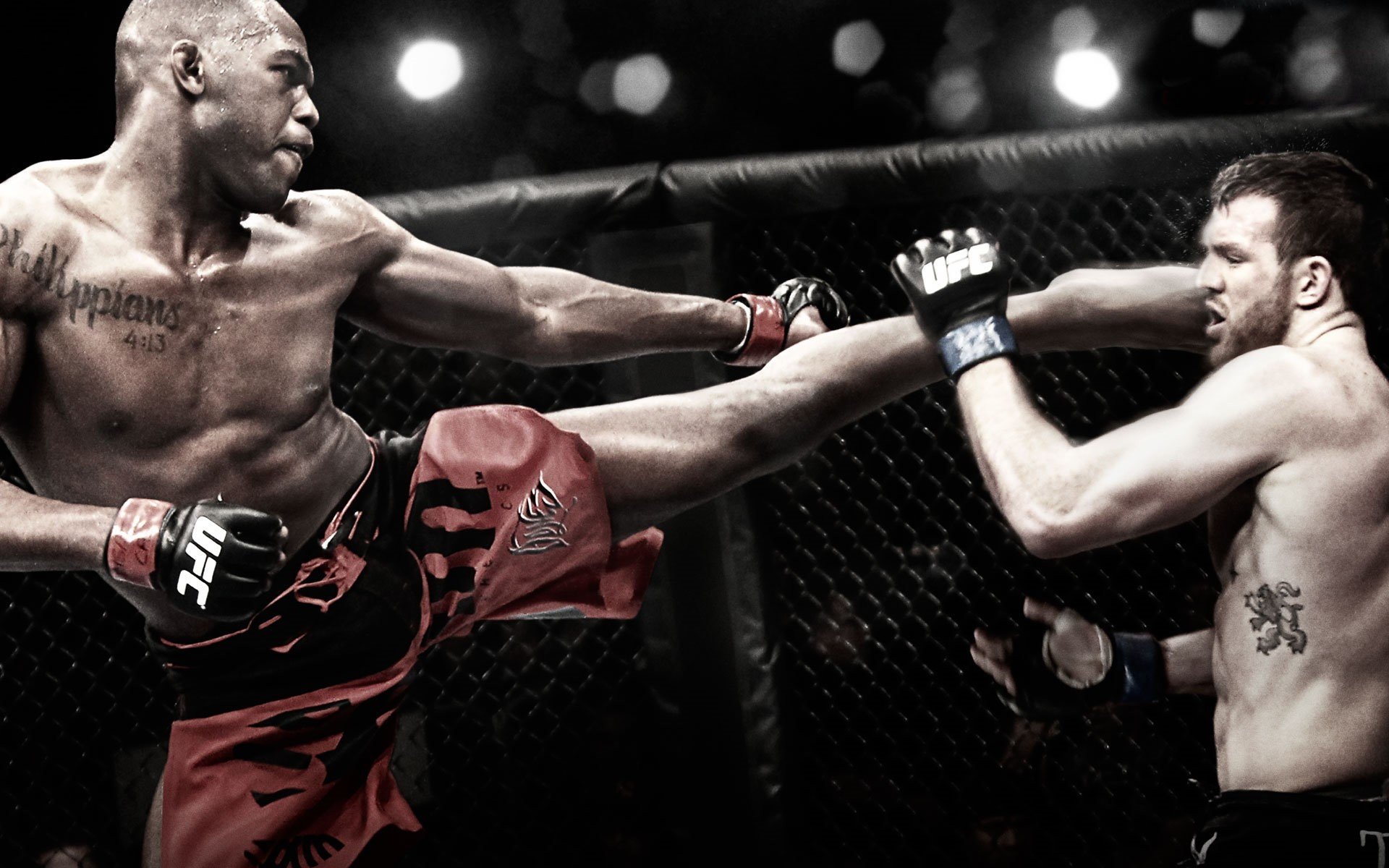 Awesome MMA (Mixed Martial Arts) free wallpaper ID:389437 for hd 1920x1200 desktop