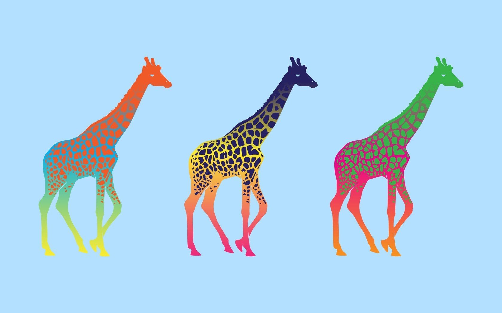 High resolution Giraffe hd 1680x1050 background ID:332579 for PC