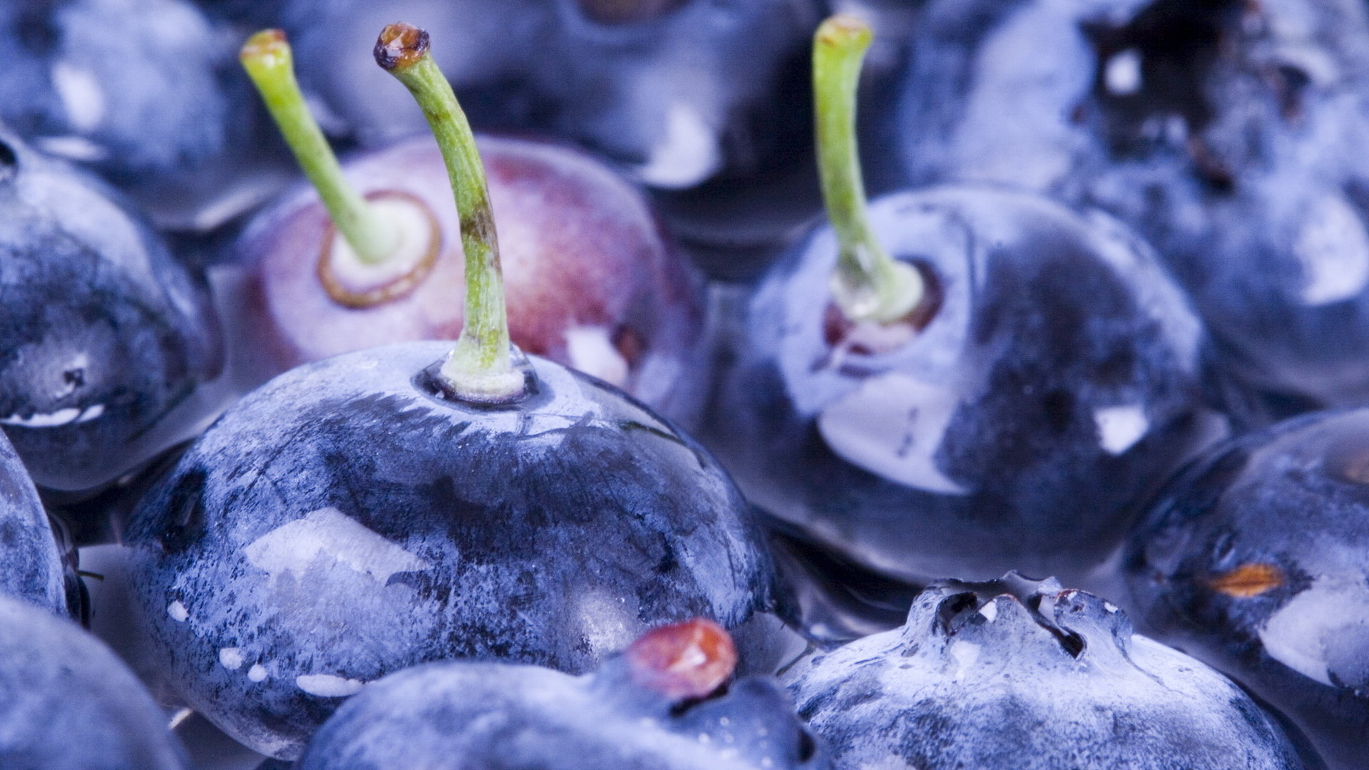 Download full hd 1080p Blueberry computer wallpaper ID:69057 for free