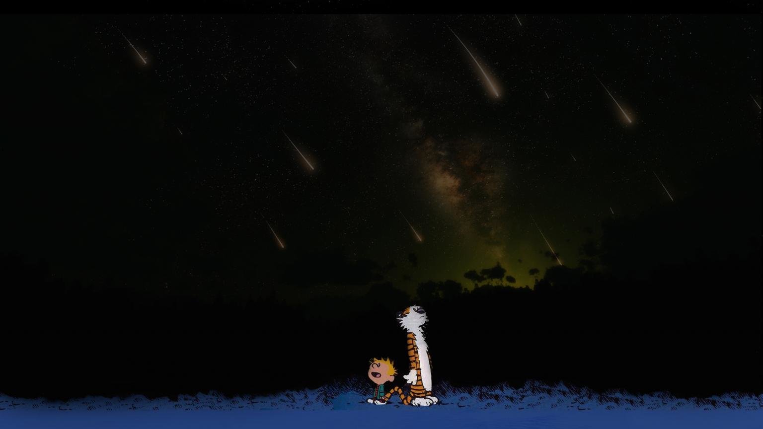 Free download Calvin and Hobbes background ID:211523 hd 1536x864 for PC