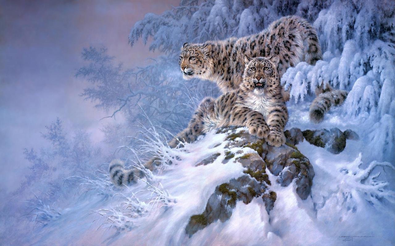 Free download Snow Leopard wallpaper ID:34537 hd 1280x800 for PC