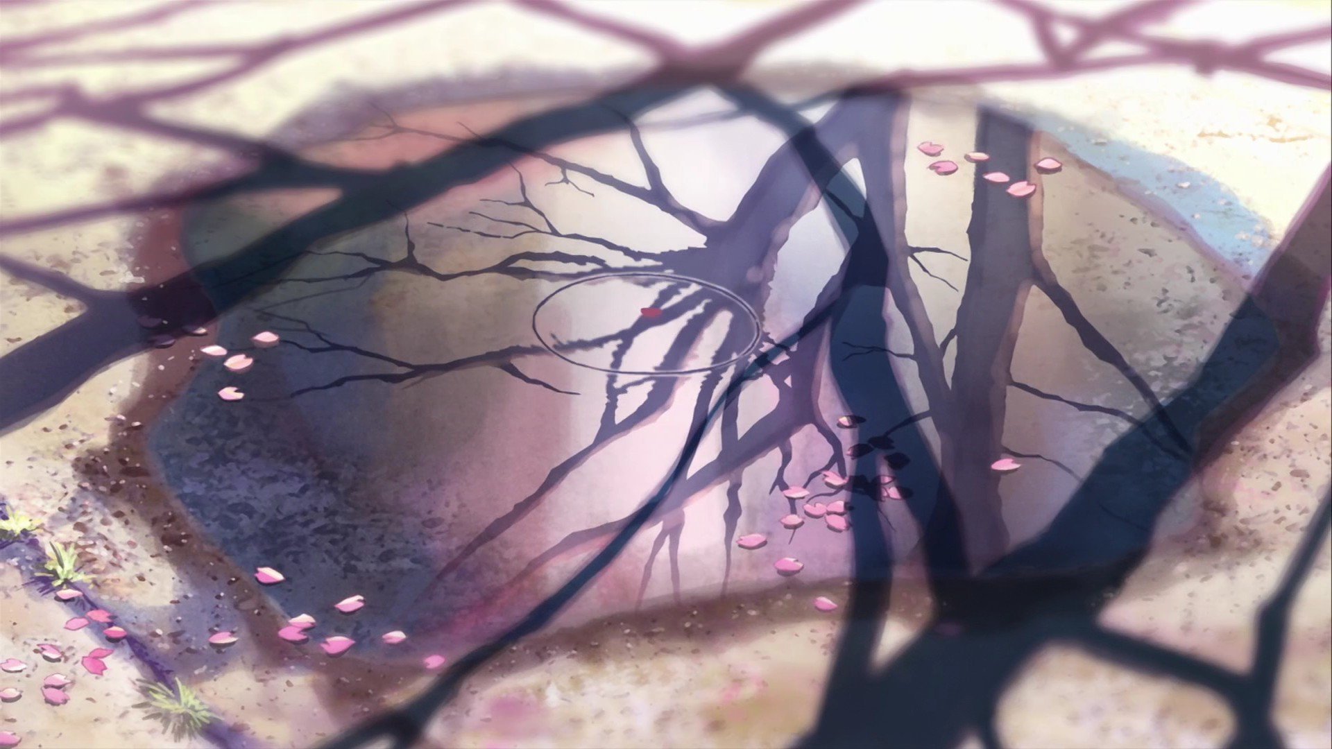 High resolution 5 (cm) Centimeters Per Second 1080p background ID:90072 for PC