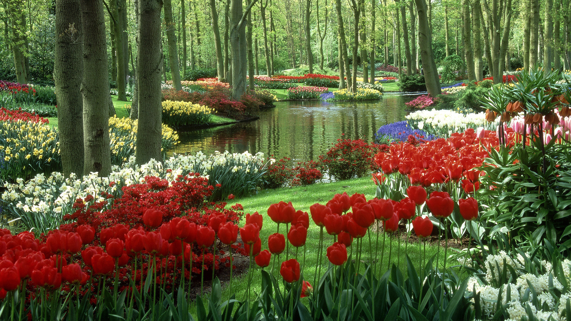 Awesome Garden free wallpaper ID:397069 for full hd PC