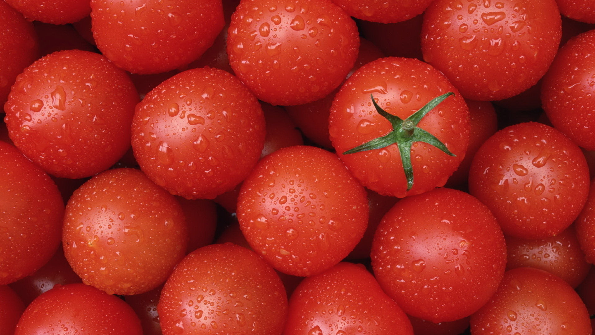 Free Tomato high quality wallpaper ID:95435 for full hd computer