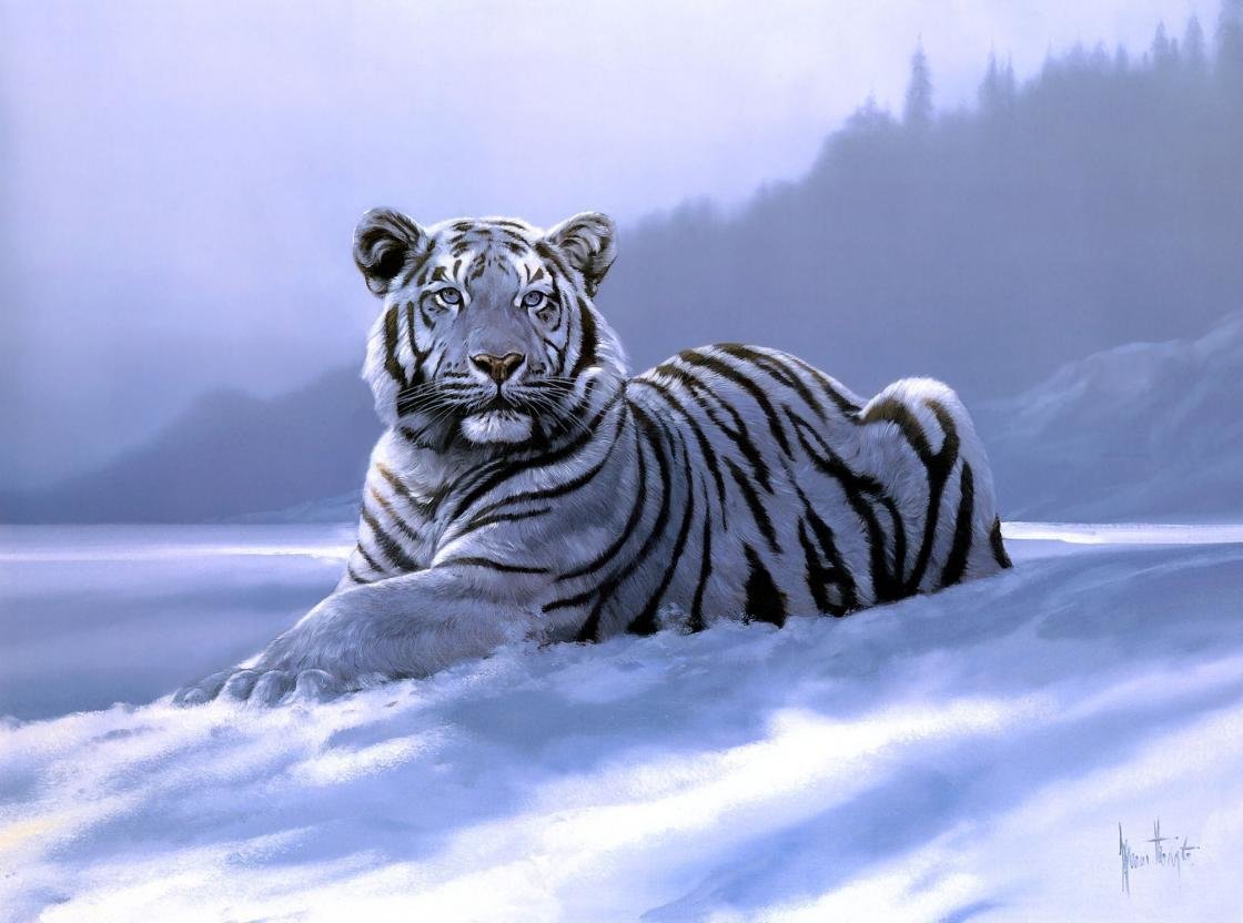 Free White Tiger high quality background ID:174843 for hd 1120x832 desktop
