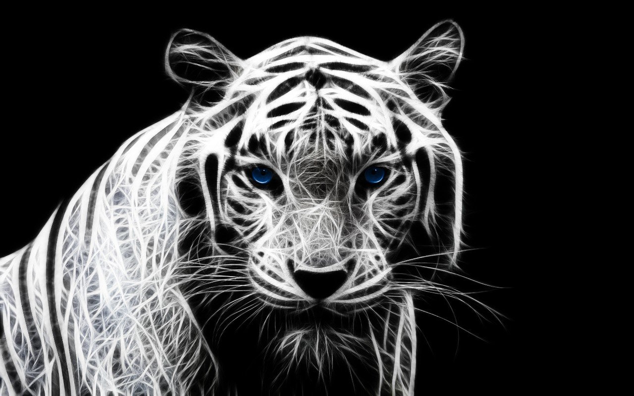 Download hd 1280x800 White Tiger computer background ID:174910 for free