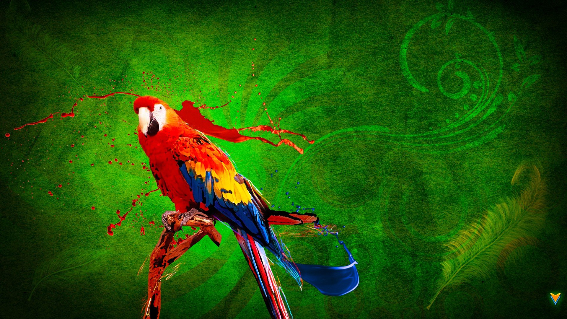High resolution Macaw full hd background ID:46413 for computer