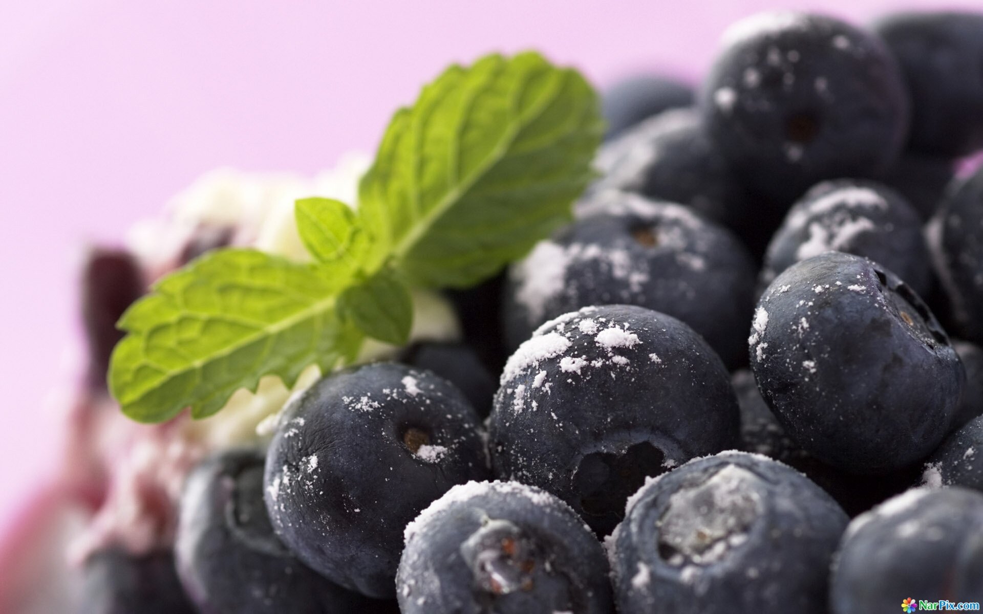 Free download Blueberry background ID:69021 hd 1920x1200 for desktop
