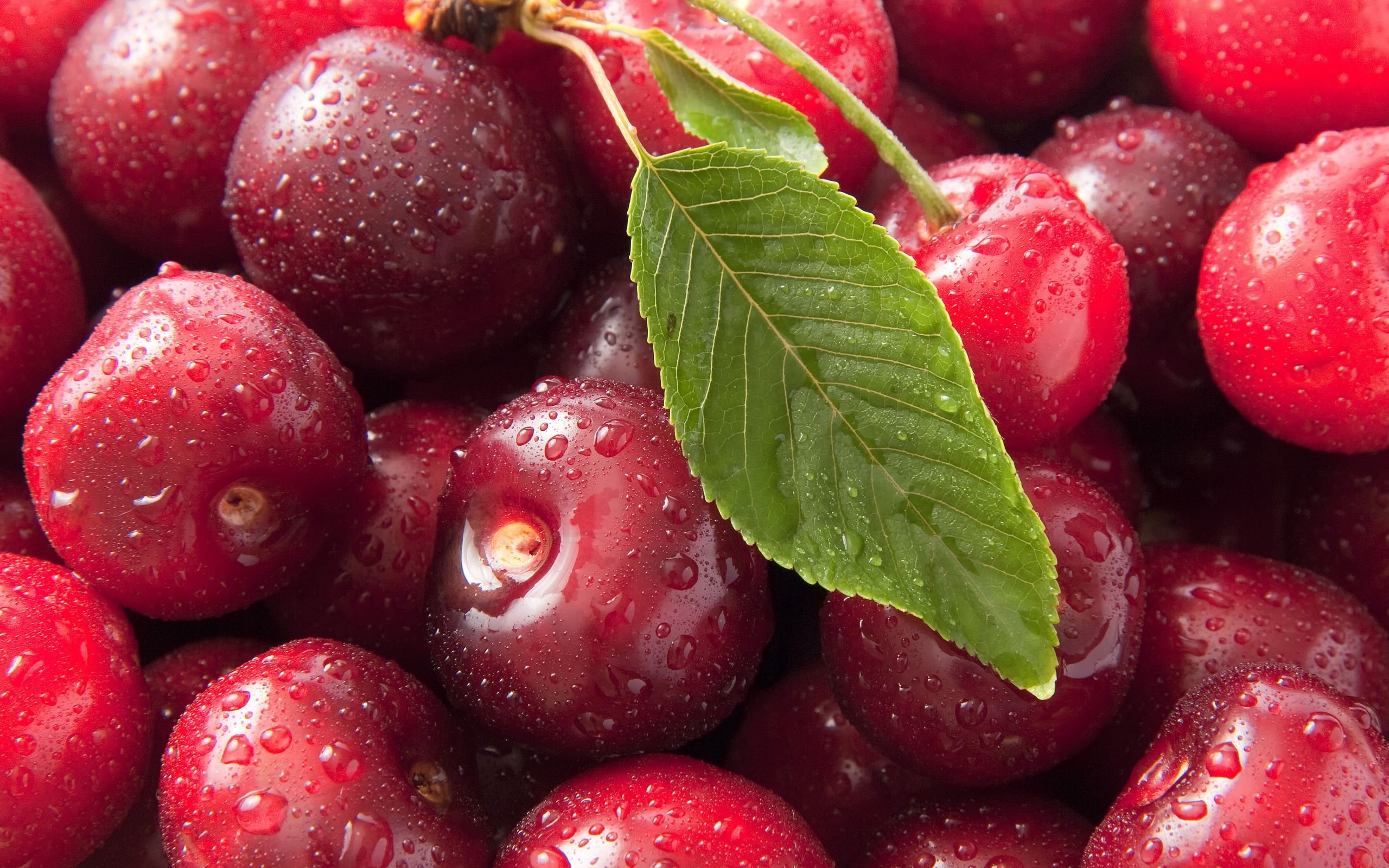 Free download Cherry wallpaper ID:141846 hd 2560x1600 for PC