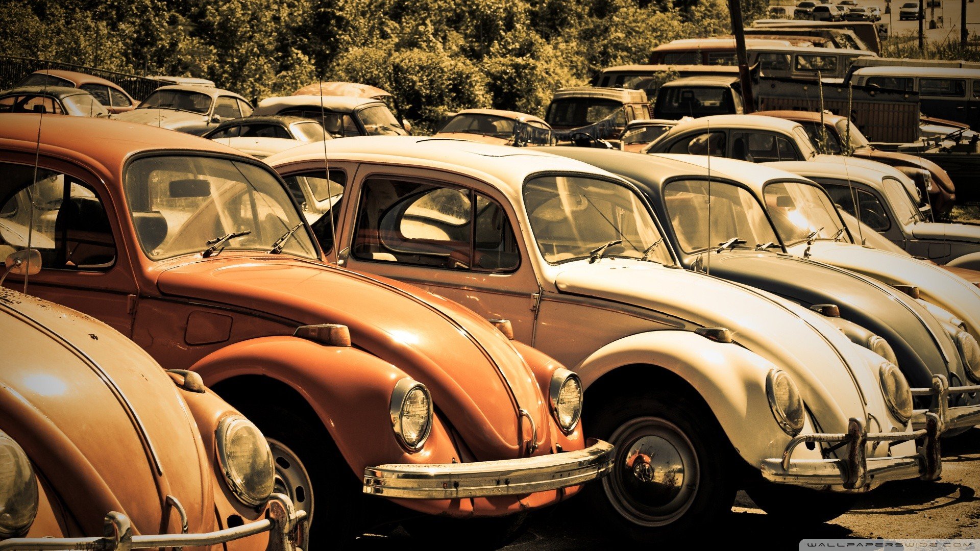 Free Volkswagen (VW) high quality wallpaper ID:52650 for full hd 1080p computer